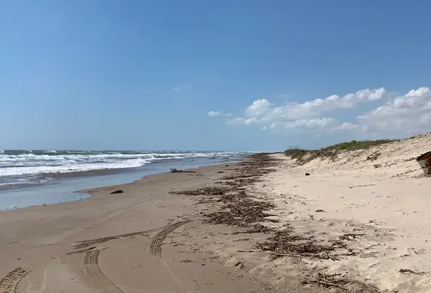 File photo: Boca Chica beach, Texas
