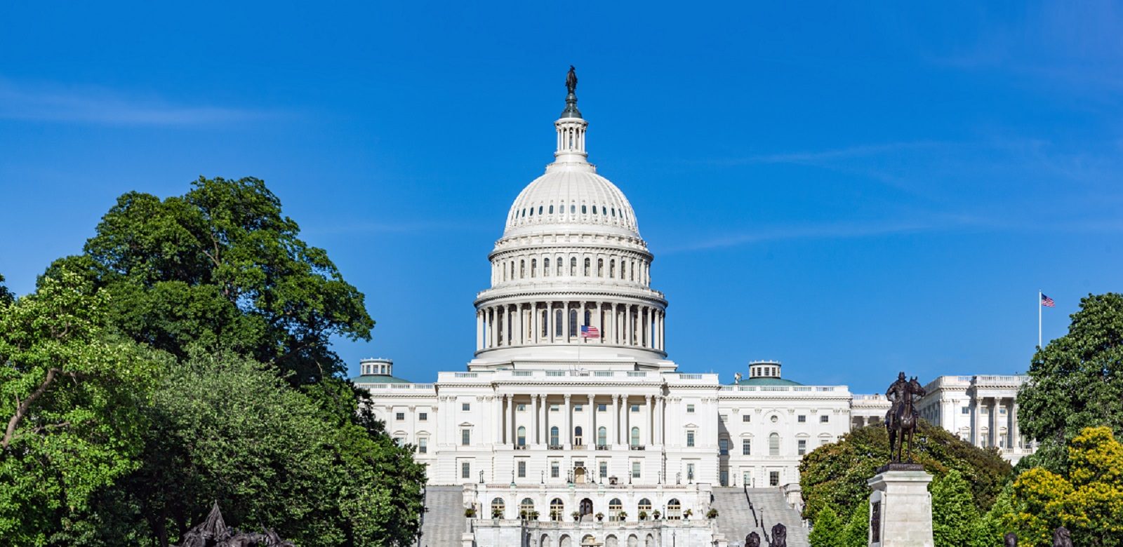 U.S. Capitol, Washington, D.C.