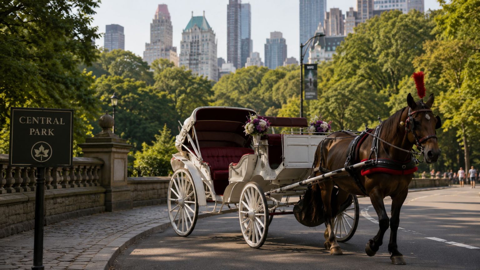 Horse-drawn carriage in Central Park