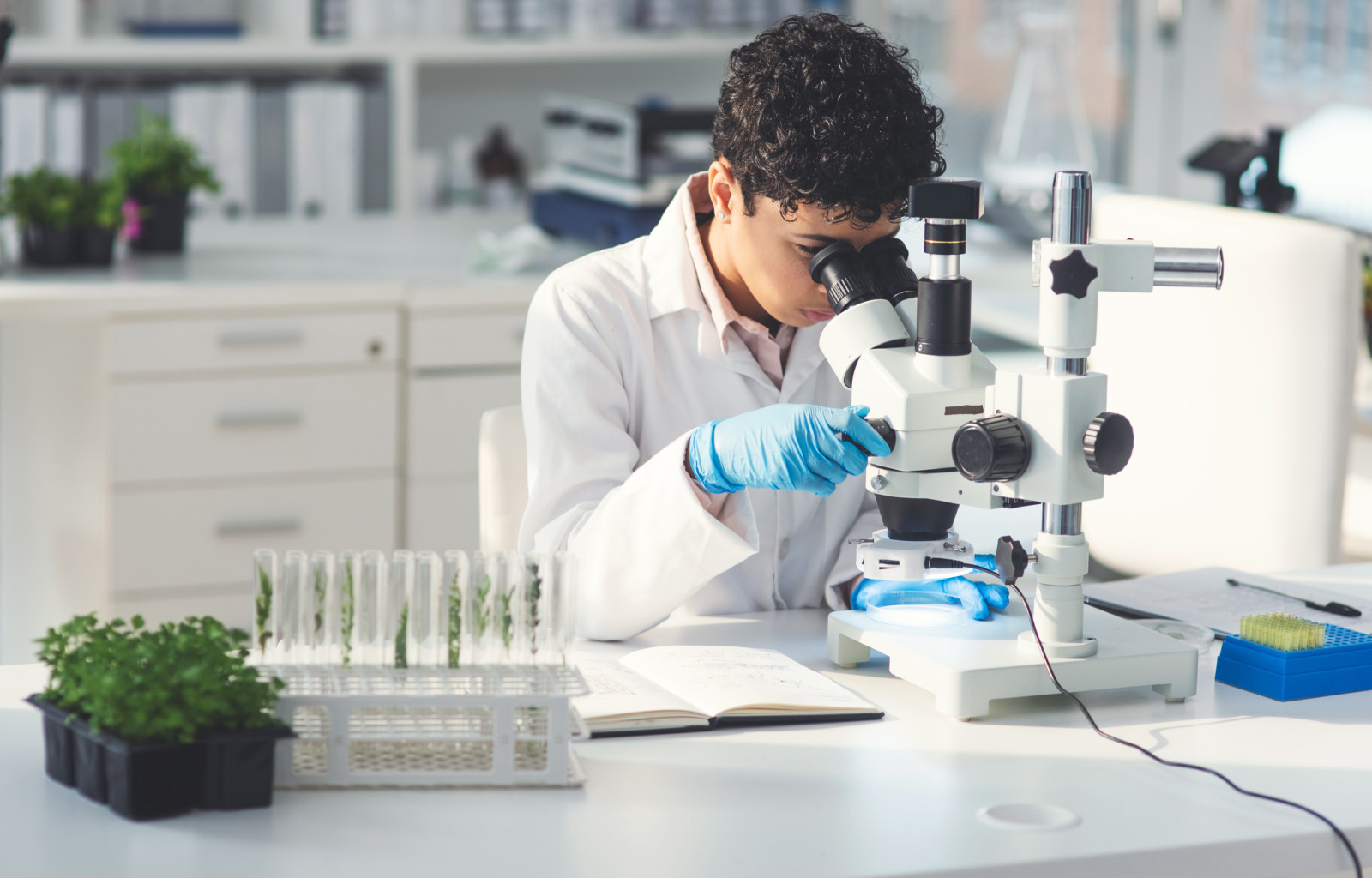 a biotechnology laboratory