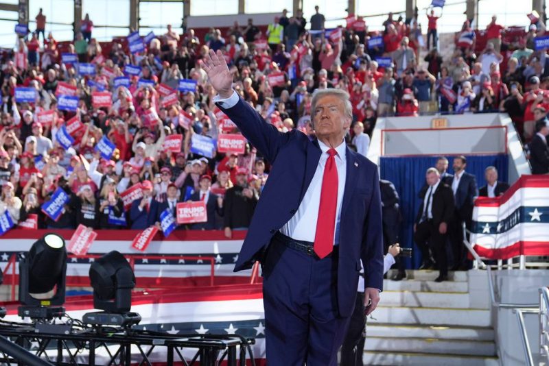 Former President Donald Trump at a campaign rally (file photo, AP)